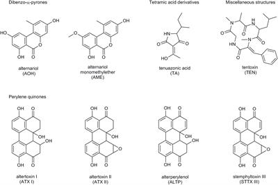 Quantitation of Six Alternaria Toxins in Infant Foods Applying Stable Isotope Labeled Standards
